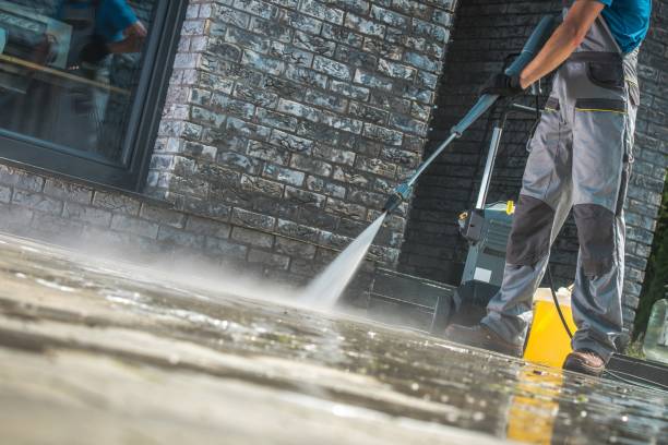 Best House Exterior Washing  in Le Center, MN