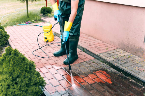 Best Playground Equipment Cleaning  in Le Center, MN